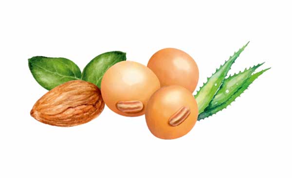 Aceite de soya