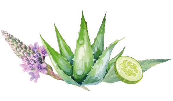 Verbena y pepino Espuma Facial limpieza profunda